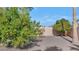 Backyard with mature citrus trees and gravel landscaping at 7258 E Manzanita Dr, Scottsdale, AZ 85258