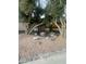 Landscaped yard with fountain and mature trees at 7870 W Cheryl Dr, Peoria, AZ 85345