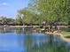 Scenic view of a serene pond with lush greenery, walking path, and ducks swimming in the calm water at 4072 S Skyline Ct, Gilbert, AZ 85297