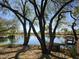 Tranquil pond view framed by mature trees, creating a peaceful spot for relaxation and enjoying nature at 4072 S Skyline Ct, Gilbert, AZ 85297