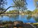 Scenic pond view with ducks swimming and greenery, creating a serene and picturesque environment at 4072 S Skyline Ct, Gilbert, AZ 85297
