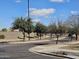 Residential street lined with mature trees and well-maintained landscaping, adding curb appeal at 4072 S Skyline Ct, Gilbert, AZ 85297