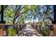 Wooden footbridge over water with scenic landscaping at 4590 E Cloudburst Dr, Gilbert, AZ 85297