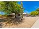 Landscaped front yard with mature trees and a gravel driveway at 5648 W Folley St, Chandler, AZ 85226