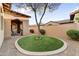 Landscaped backyard with artificial turf and a small tree at 3172 S Mulberry Ct, Gold Canyon, AZ 85118