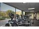 Modern gym with cardio equipment and scenic views at 3172 S Mulberry Ct, Gold Canyon, AZ 85118
