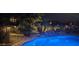 Landscaped backyard at night with palm trees and lighting at 45707 W Barbara Ln, Maricopa, AZ 85139