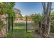 View of backyard through a black wrought iron fence at 5131 N 18Th St, Phoenix, AZ 85016