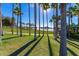 Scenic view of a lake surrounded by palm trees and lush greenery at 10815 S 175Th Dr, Goodyear, AZ 85338