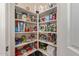 Well-organized pantry with ample shelving for storage at 10815 S 175Th Dr, Goodyear, AZ 85338