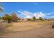 View of neighborhood homes with well-maintained landscaping and mature trees against a bright blue sky at 11606 W Laurelwood Ln, Avondale, AZ 85392
