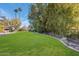 Expansive grassy backyard with mature trees and landscaping at 245 W Berridge Ln, Phoenix, AZ 85013