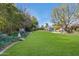 Spacious backyard with a grassy lawn and mature trees at 245 W Berridge Ln, Phoenix, AZ 85013