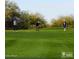 Golf course putting green with players at 5028 S Peachwood Dr, Gilbert, AZ 85298