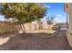 Landscaped backyard with grass, trees, and a built-in grill at 2832 E Flower St, Gilbert, AZ 85298