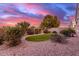 Landscaped backyard with artificial turf and desert landscaping at 41844 W Rosa Dr, Maricopa, AZ 85138