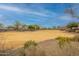 Large grassy area perfect for recreation and relaxation at 5512 W Cavedale Dr, Phoenix, AZ 85083