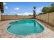 Kidney-shaped swimming pool in backyard setting at 5530 N 47Th Ave, Glendale, AZ 85301