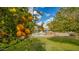 View of home from the backyard with orange trees at 6613 W Sweetwater Ave, Glendale, AZ 85304