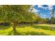 Lush, mature orange trees in the backyard produce fresh fruit at 6613 W Sweetwater Ave, Glendale, AZ 85304