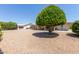 Large backyard with gravel and a mature tree at 11030 W Pleasant Valley W Rd, Sun City, AZ 85351