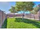 Large backyard with trampoline, grass, and trees at 1643 E Bishop Dr, Casa Grande, AZ 85122