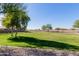 Open green space in the community at 2004 E Brigadier Dr, Gilbert, AZ 85298