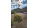 Backyard with mountain views and citrus tree at 2233 E Behrend Dr # 197, Phoenix, AZ 85024