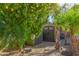 Backyard shed nestled amongst lush landscaping and lemon tree at 2415 W Desperado Way, Phoenix, AZ 85085