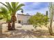 A spacious backyard featuring desert landscaping with a palm tree and citrus tree at 3024 E Siesta Ln, Phoenix, AZ 85050