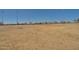 Large grassy baseball field with lighting and a dirt infield at 30313 W Mitchell Ave, Buckeye, AZ 85396