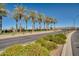 Landscaped road with palm trees leading into community at 30313 W Mitchell Ave, Buckeye, AZ 85396