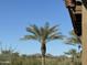 Mountain view from the property at 29460 N 123Rd Gln, Peoria, AZ 85383