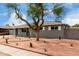 Landscaped yard and curb appeal at 2614 N 40Th Dr, Phoenix, AZ 85009