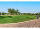 Landscaped community park with grassy areas at 4119 S Las Villa Way, Gold Canyon, AZ 85118