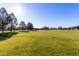 Community park with lush green grass and trees at 4233 E Colonial Dr, Chandler, AZ 85249