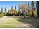 Spacious backyard with mature trees and grassy area at 6617 N Central Ave, Phoenix, AZ 85012
