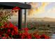 Panoramic city views with vibrant bougainvillea in the foreground at 7147 N 23Rd Pl, Phoenix, AZ 85020