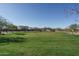 Large grassy area in a neighborhood park at 7332 W Quail Track Dr, Peoria, AZ 85383