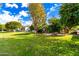 Expansive backyard featuring lush lawn and mature citrus trees at 10314 W Manzanita Dr, Sun City, AZ 85373