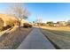 Concrete walkway through a residential neighborhood at 1311 E Kelsi Ave, San Tan Valley, AZ 85140