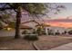 Single story home with mature trees and walkway at 3457 E Ellis St, Mesa, AZ 85213