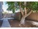 Backyard features a shade tree and storage shed at 5951 W Irma Ln, Glendale, AZ 85308