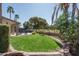 Lush backyard with green lawn, mature trees, and a fenced pool area for outdoor enjoyment at 5951 W Irma Ln, Glendale, AZ 85308