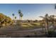 Scenic view of the golf course framed by palm trees and blue skies at 5951 W Irma Ln, Glendale, AZ 85308