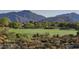 Stunning aerial view of community with mountain backdrop at 9514 E Cavalry Dr, Scottsdale, AZ 85262