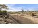 Landscaped backyard with a view of the mountains and cacti at 9514 E Cavalry Dr, Scottsdale, AZ 85262