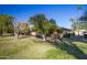 Landscaped backyard with mature trees and grassy area at 9614 N 110Th Ave, Sun City, AZ 85351