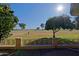 Landscaped backyard with golf course view at 10529 W Pineaire Dr, Sun City, AZ 85351