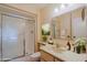 Clean bathroom with shower, sink, and vanity at 10529 W Pineaire Dr, Sun City, AZ 85351